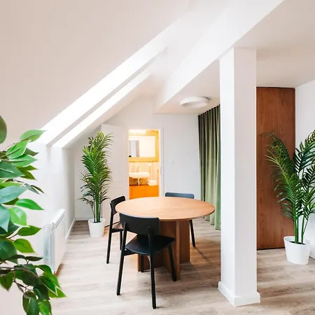 Cozy Skylit Studio In Centre *