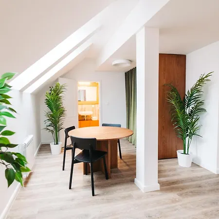Cozy Skylit Studio In Centre